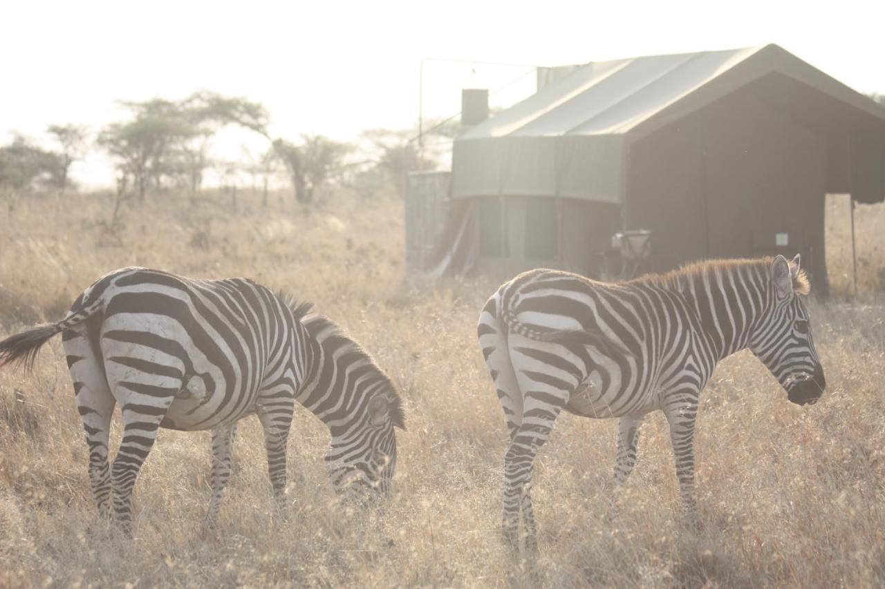 Kananga Special Tented Camp Banagi Zewnętrze zdjęcie