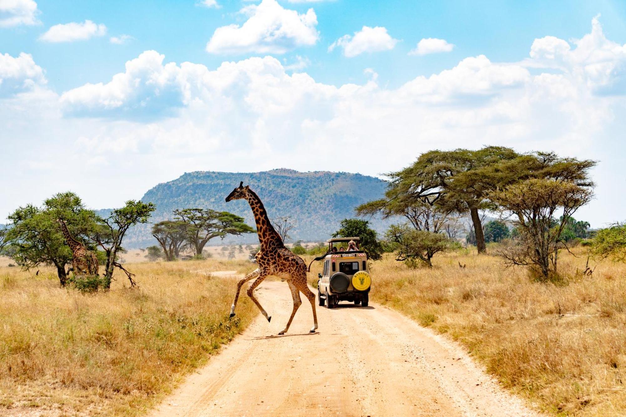 Kananga Special Tented Camp Banagi Zewnętrze zdjęcie