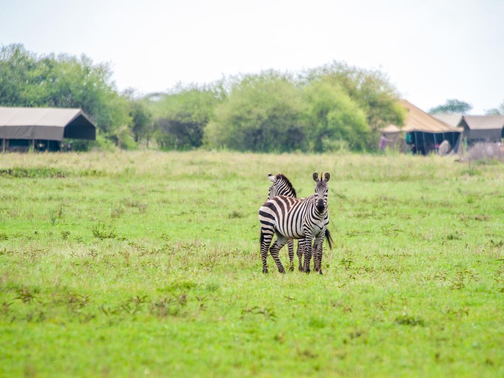 Kananga Special Tented Camp Banagi Zewnętrze zdjęcie